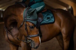 Equestrian Stockholm Ear Bonnet Sycamore Green -Saddle Shop 2222