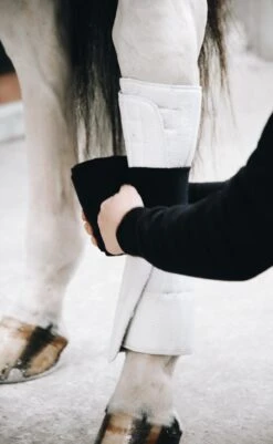 Kentucky Working Bandage Pads White/Black 5 Kentucky Working Bandage Pads White/Black -Saddle Shop 227e6ff0c107e0a200f73307aee7c4e2d480628447f73de8171822044fea6797