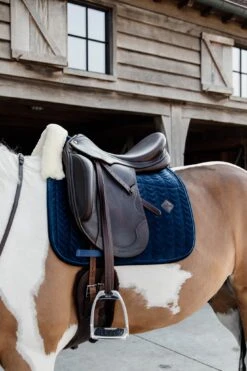 Kentucky Velvet Skin Friendly Dressage Saddle Pad Navy 5 Kentucky Velvet Skin Friendly Dressage Saddle Pad Navy -Saddle Shop 39851dee914e2c54619197a2f5d5d8fc7c4a240edd40fdd74cd9587407547e5d