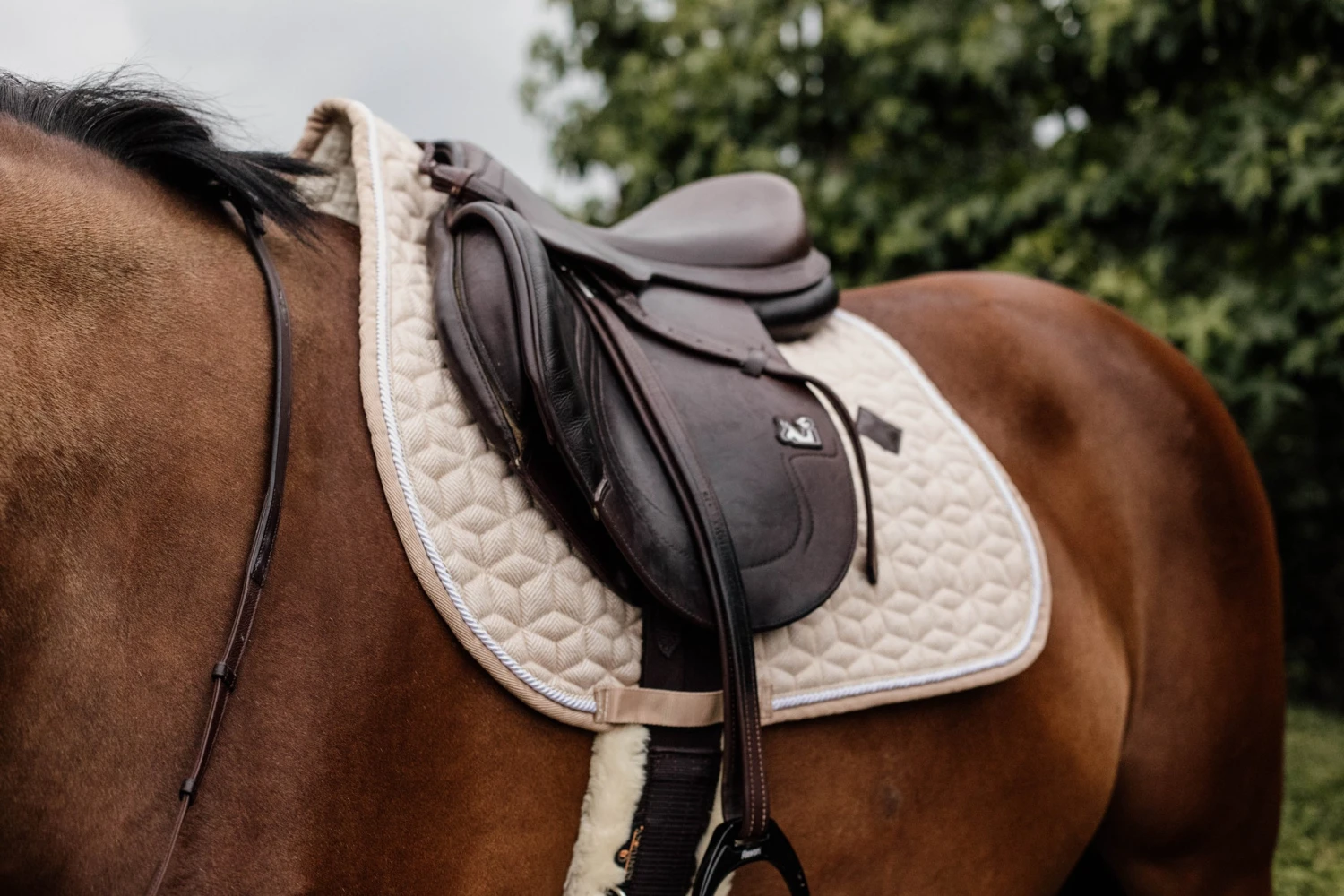 Kentucky Wool Jump Saddle Pad Beige 4 Kentucky Wool Jump Saddle Pad Beige - Image 4