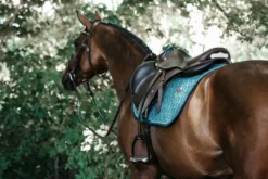 Kentucky Velvet Jump Saddle Pad Emerald -Saddle Shop 3e682ab3f977aec7d4b40da505e6d352a23e09a0cbef94e875de8329a25da876