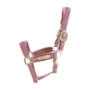 Kentucky Horsewear Velvet Halter Old Rose