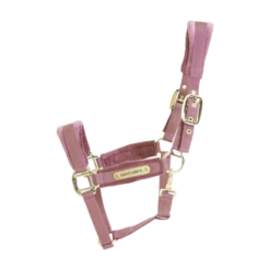 Kentucky Horsewear Velvet Halter Old Rose