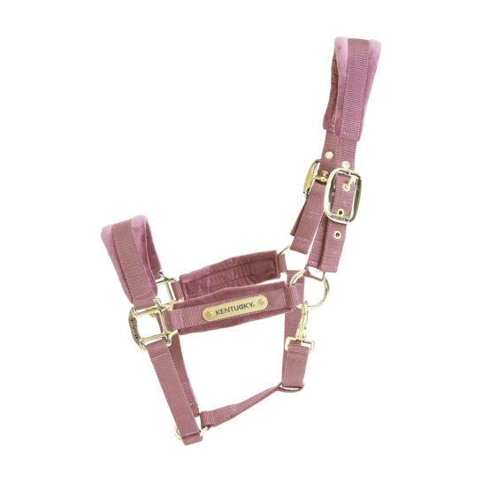 Kentucky Horsewear Velvet Halter Old Rose 1 Kentucky Horsewear Velvet Halter Old Rose