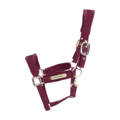 Kentucky Horsewear Velvet Halter Bordeaux -Saddle Shop 42558 17 e8502ded370e565d04389cf2c54c4715 article photobook crop