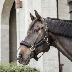 Kentucky Horsewear Glitter Stone Halter Black