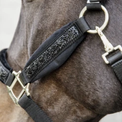 Kentucky Horsewear Glitter Stone Halter Black 7 Kentucky Horsewear Glitter Stone Halter Black -Saddle Shop 485a8878 e8502ded370e565d04389cf2c54c4715 article photobook crop