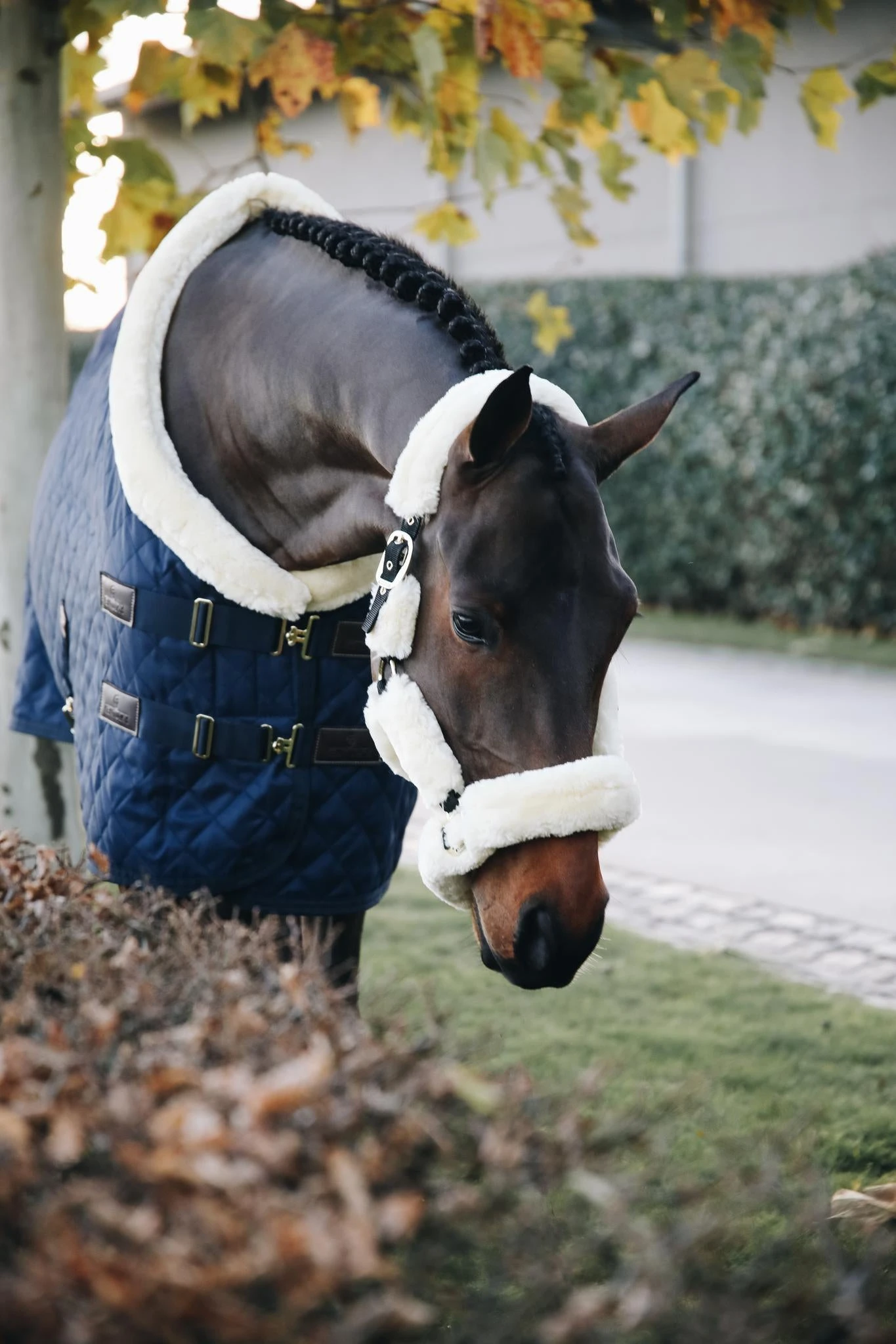 Kentucky Sheepskin Shipping Halter Natural 2 Kentucky Sheepskin Shipping Halter Natural - Image 2