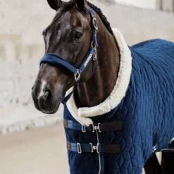 Kentucky Horsewear Velvet Halter Navy