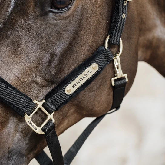 Kentucky Horsewear Velvet Halter Black 2 Kentucky Horsewear Velvet Halter Black - Image 2