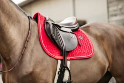 Kentucky Velvet Jump Saddle Pad Red 11 Kentucky Velvet Jump Saddle Pad Red -Saddle Shop 724a1d74f5be36473d5e059ab876deaf5ea155482c502b8b860993c514303eea