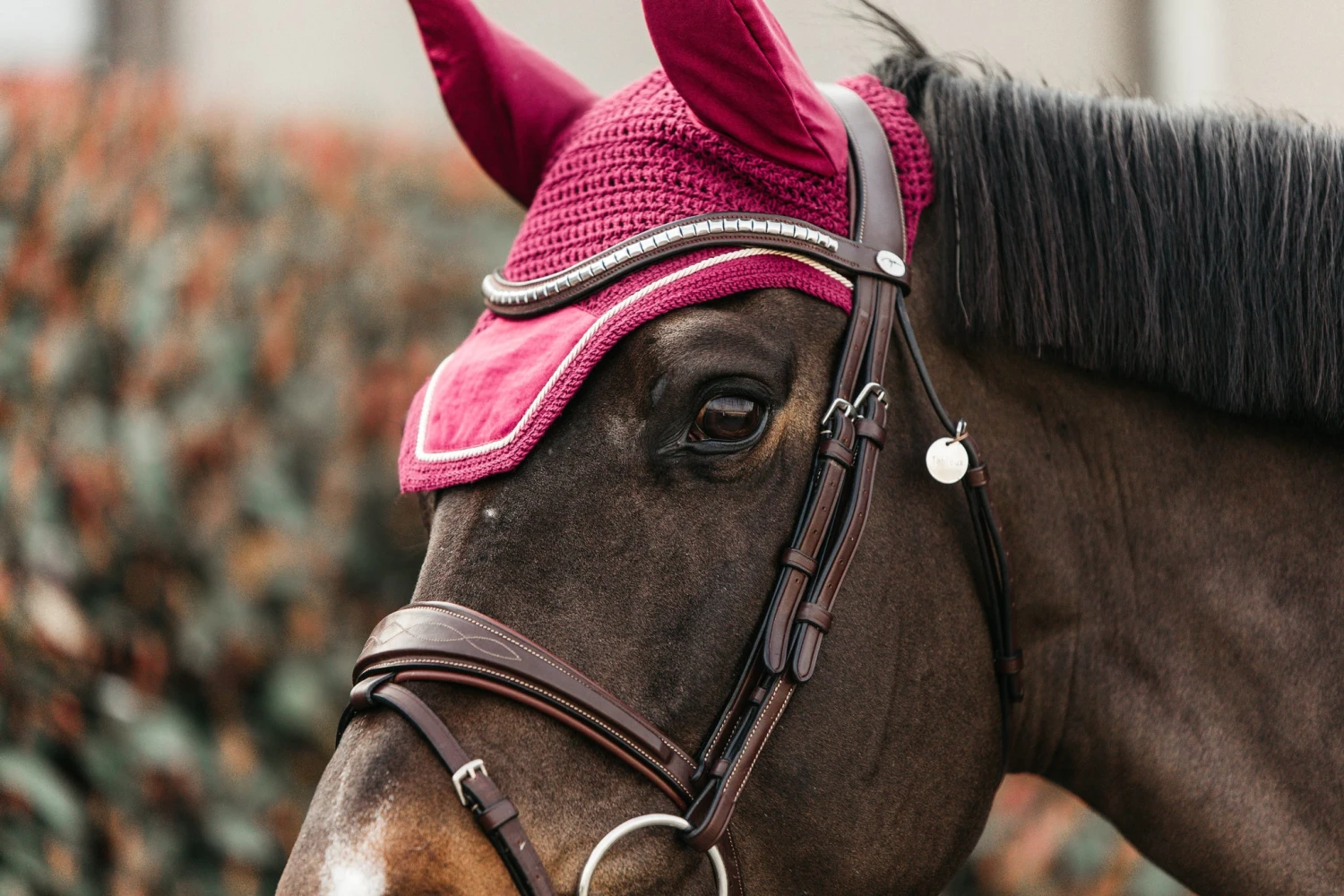 Kentucky Velvet Wellington Ear Bonnet Fuchsia 2 Kentucky Velvet Wellington Ear Bonnet Fuchsia - Image 2