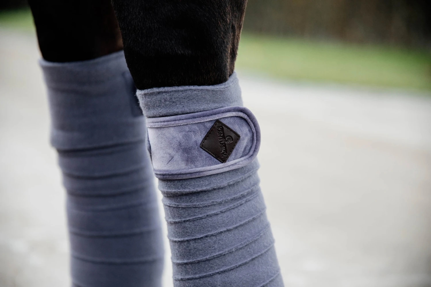 Kentucky Velvet Bandages Purple 2 Kentucky Velvet Bandages Purple - Image 2