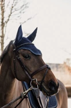 Kentucky Glitter Stone Soundless Wellington Ear Bonnet Dark Navy 5 Kentucky Glitter Stone Soundless Wellington Ear Bonnet Dark Navy -Saddle Shop 8ef687cc31251307d6600c759aec24d35eb6883731b8a9865ec1dcb4a5babd05 38034201 1729 4262 b4b7 523fce173ffb