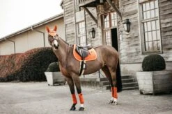 Kentucky Velvet Jump Saddle Pad Orange -Saddle Shop 9268c6f75332e3f9b232595fd14be8f359fa4b51573ebf59397d1a1425cba83a