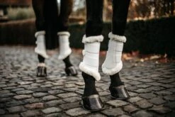 Kentucky Air Brushing Boots White -Saddle Shop 9c578cd89a83729403dd4d0b71056c47889ac56005d37820ec3c095b9f94795f