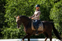 Equestrian Stockholm Dressage Saddle Pad Champagne -Saddle Shop DSC 2056