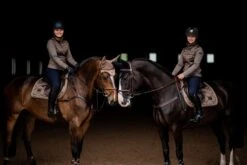 Equestrian Stockholm Ear Bonnet Champagne 6 Equestrian Stockholm Ear Bonnet Champagne -Saddle Shop DSC 3133