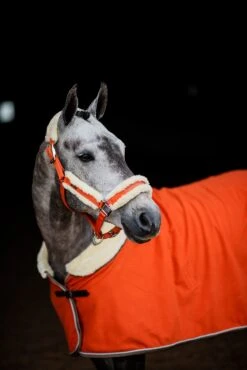 Equestrian Stockholm Fleece Headcollar & Lead Brick Orange -Saddle Shop DSC 4614