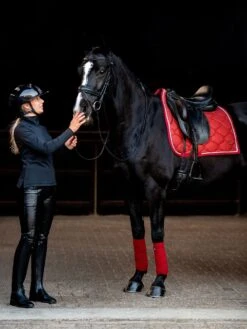 PS Of Sweden Stardust Bandages Dark Red -Saddle Shop DSC 6532 2 3dcce1ac 1bff 426e 801c cbbf802fdde3