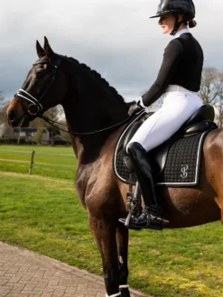 Saddle Shop -Saddle Shop DSC 7286.jpgeliteblack