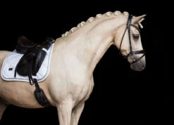 Equestrian Stockholm Bandages White Perfection Silver -Saddle Shop Dressage Saddle pad White perfection silver 1