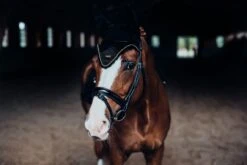 Equestrian Stockholm Ear Bonnet Black Gold -Saddle Shop MG 0092 scaled