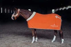 Equestrian Stockholm Fleece Headcollar & Lead Brick Orange -Saddle Shop MG 1060 616a39a6 c368 4c67 be75 5b1568d83bc9 scaled