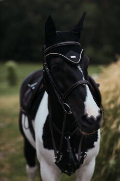 Equestrian Stockholm Ear Bonnet Black Gold -Saddle Shop MG 2025