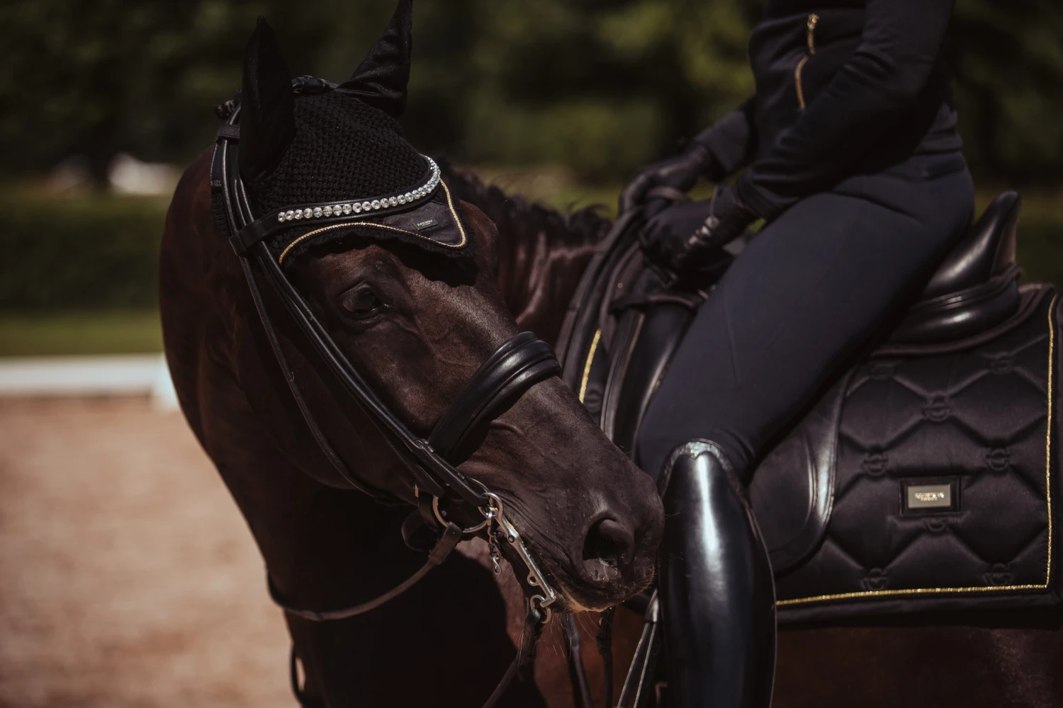 Equestrian Stockholm Dressage Saddle Pad Black Gold 5 Equestrian Stockholm Dressage Saddle Pad Black Gold - Image 5