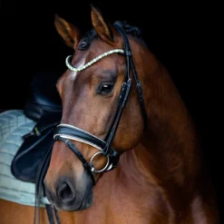 SD Design Be Tempted Browband Peppermint Cake Pop -Saddle Shop R 1016 SD Be Tempted browband6 1