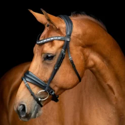 SD Design Vivaldi Browband Clear -Saddle Shop R 1206 SD VIvaldi bridle 1