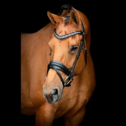 SD Design Vivaldi Browband Clear -Saddle Shop R 1206 SD VIvaldi bridle3 1