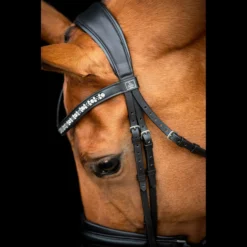 SD Design Vivaldi Browband Clear -Saddle Shop R 1206 SD VIvaldi bridle5 1