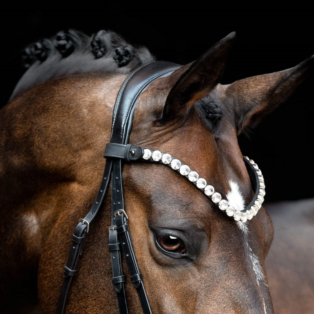 SD Design Valentino Browband Clear 3 SD Design Valentino Browband Clear - Image 3