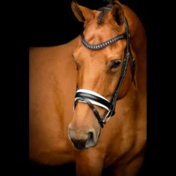 SD Design Vivaldi Browband Amethyst -Saddle Shop R 923 SD Vivaldi browband Amethyst4