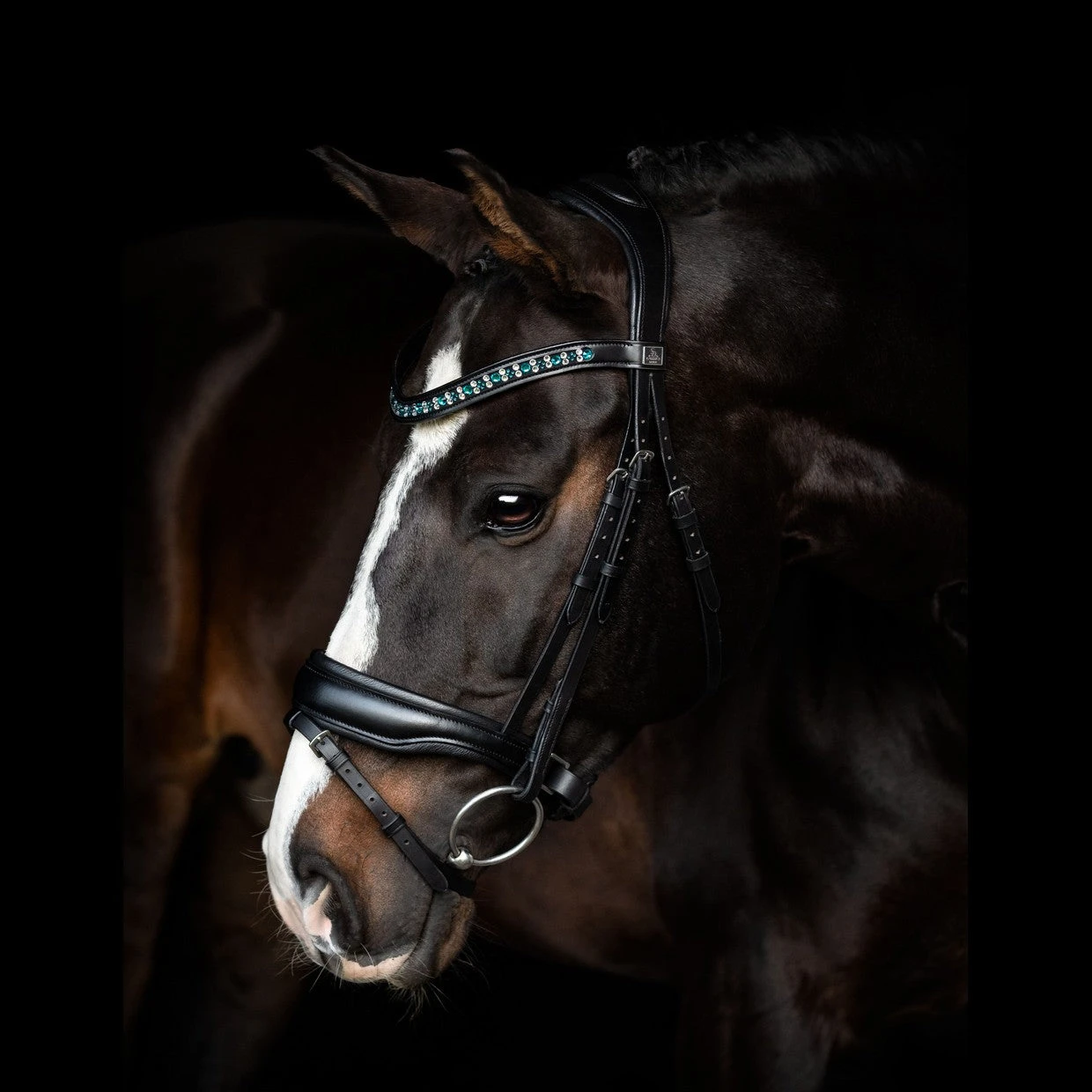 SD Design Vivaldi Browband Blue Lagoon 3 SD Design Vivaldi Browband Blue Lagoon - Image 3