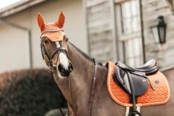 Kentucky Velvet Jump Saddle Pad Orange -Saddle Shop a4f9031824099c7a519f851ac797c55f8a2667369cd80e67f1a0ed8fb7550de4