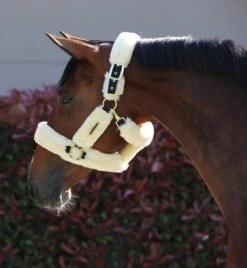 Kentucky Sheepskin Shipping Halter Natural 9 Kentucky Sheepskin Shipping Halter Natural -Saddle Shop abc58f2b731b177eba8517ea95914b45122a846a856c831f32c76c37f8193f1c