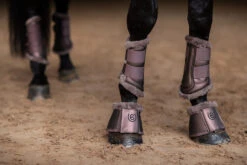 Equestrian Stockholm Brushing Boots Amaranth 5 Equestrian Stockholm Brushing Boots Amaranth -Saddle Shop amaranth brushing boots benskydd gamaschen beenbeschermers on1