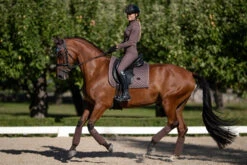 Equestrian Stockholm Dressage Breeches Amaranth -Saddle Shop amaranth riding breeches dressage ridbyxa dressur reithosen rijbroek dressuur on3