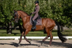 Equestrian Stockholm Vision Base Layer Amaranth 7 Equestrian Stockholm Vision Base Layer Amaranth -Saddle Shop amaranth riding top ridtopp oben reiten top rijden on3