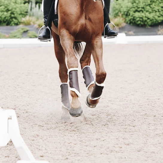 Kentucky Leather Brushing Boots Brown 2 Kentucky Leather Brushing Boots Brown - Image 2
