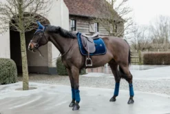 Kentucky Velvet Dressage Saddle Pad Navy -Saddle Shop b5218072bf431de5a1e41a93925260142641497fcd8b8ba2b2a8173251740457