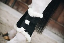 Kentucky Air Brushing Boots Black -Saddle Shop bc6d7f41a1930bac34ec9225b33cb0396384fcf030ce284f871b757175ef866a