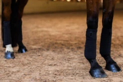 Equestrian Stockholm Bandages All Black Glimmer -Saddle Shop black glimmer fleece bandages benlindor bandagen bandages on1