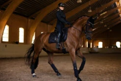 Equestrian Stockholm Bandages All Black Glimmer -Saddle Shop black glimmer fleece bandages benlindor bandagen bandages on2