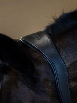 Equestrian Stockholm Anatomic Leather Halter Black Edition -Saddle Shop black halter laedergrimma lederhalfter halster 3