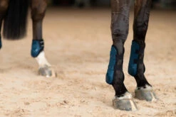 Equestrian Stockholm Anatomic Tendon Boots Blue Meadow -Saddle Shop blue meadow tendon boots framskydd peesbeschermers frontschutz on2