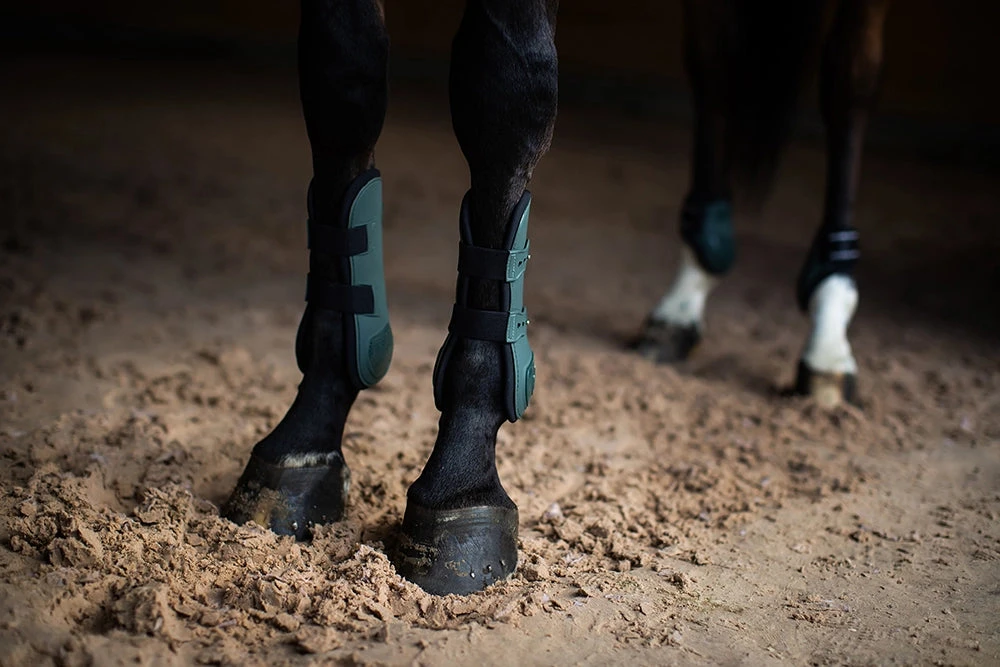 Equestrian Stockholm Anatomic Tendon Boots Sycamore Green 4 Equestrian Stockholm Anatomic Tendon Boots Sycamore Green - Image 4